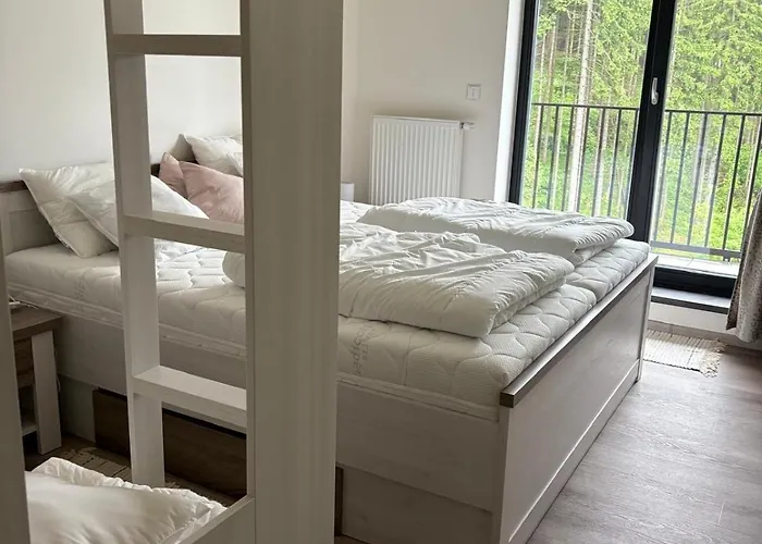 Materidouska, 305 Apartment Černý Důl